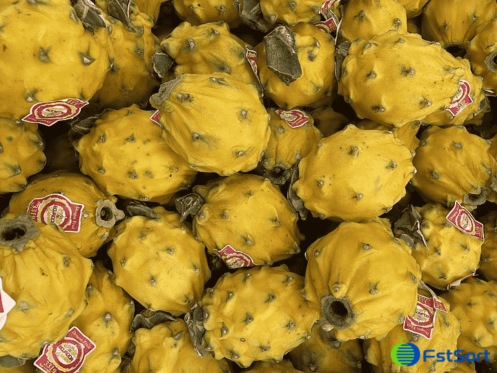 images/1656662579534Máquina clasificadora de frutas del dragón.png